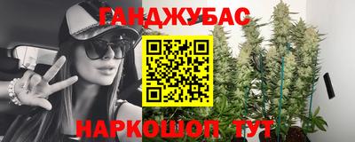 тгк Славгород