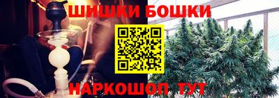 тгк Славгород