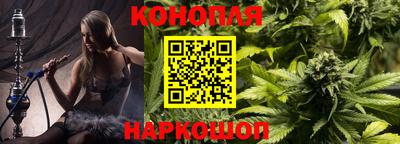 тгк Славгород